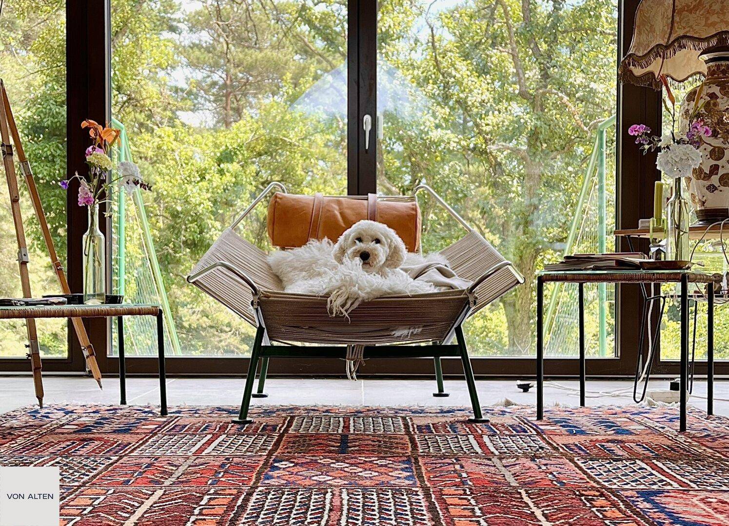 Gemütlicher Wohnbereich mit einem Hund in einem Designer-Sessel und weitem Blick ins Grüne.