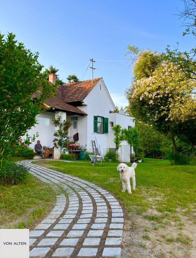 Charmantes Landhaus mit grünem Fensterladen, gepflastertem Weg und weitläufigem Rasen.