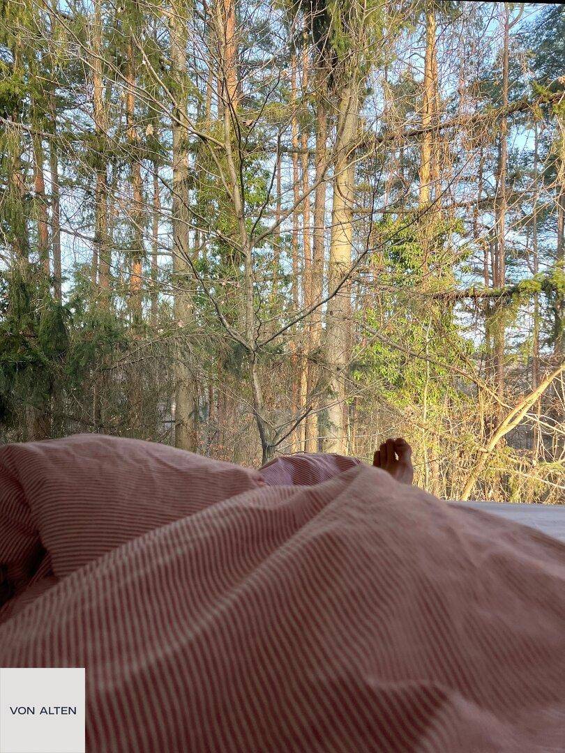 Gemütliches Bett mit gestreifter Bettwäsche und direktem Blick auf hohe Bäume.