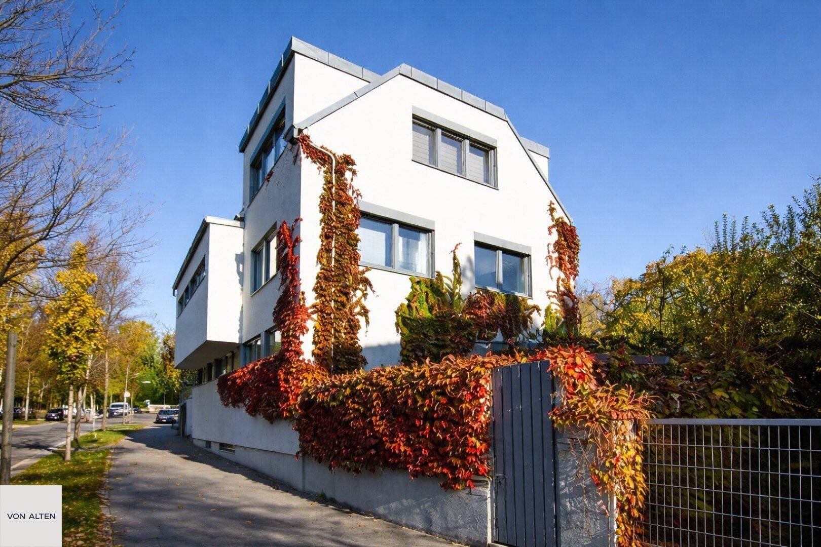 Ansicht des modernen Wohnhauses mit herbstlicher Kletterpflanze und Zaun.