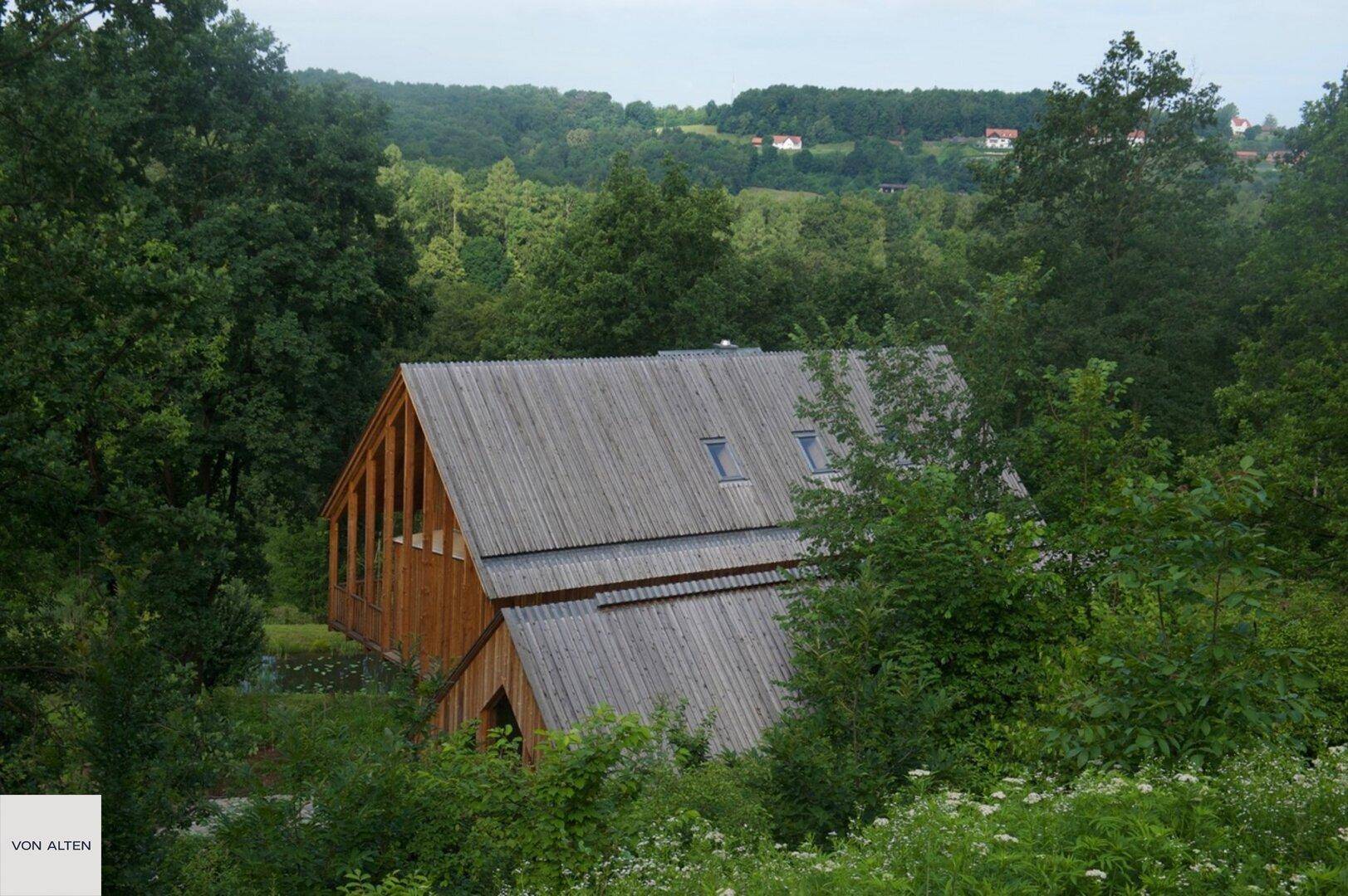 Modernes Holzhaus mit Schrägdach und Dachfenstern, umgeben von dichtem Wald.