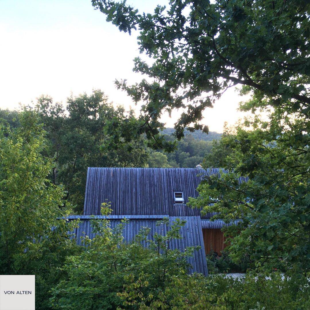 Dachansicht des Holzhauses mit Dachfenstern, umrahmt von grünen Baumwipfeln.