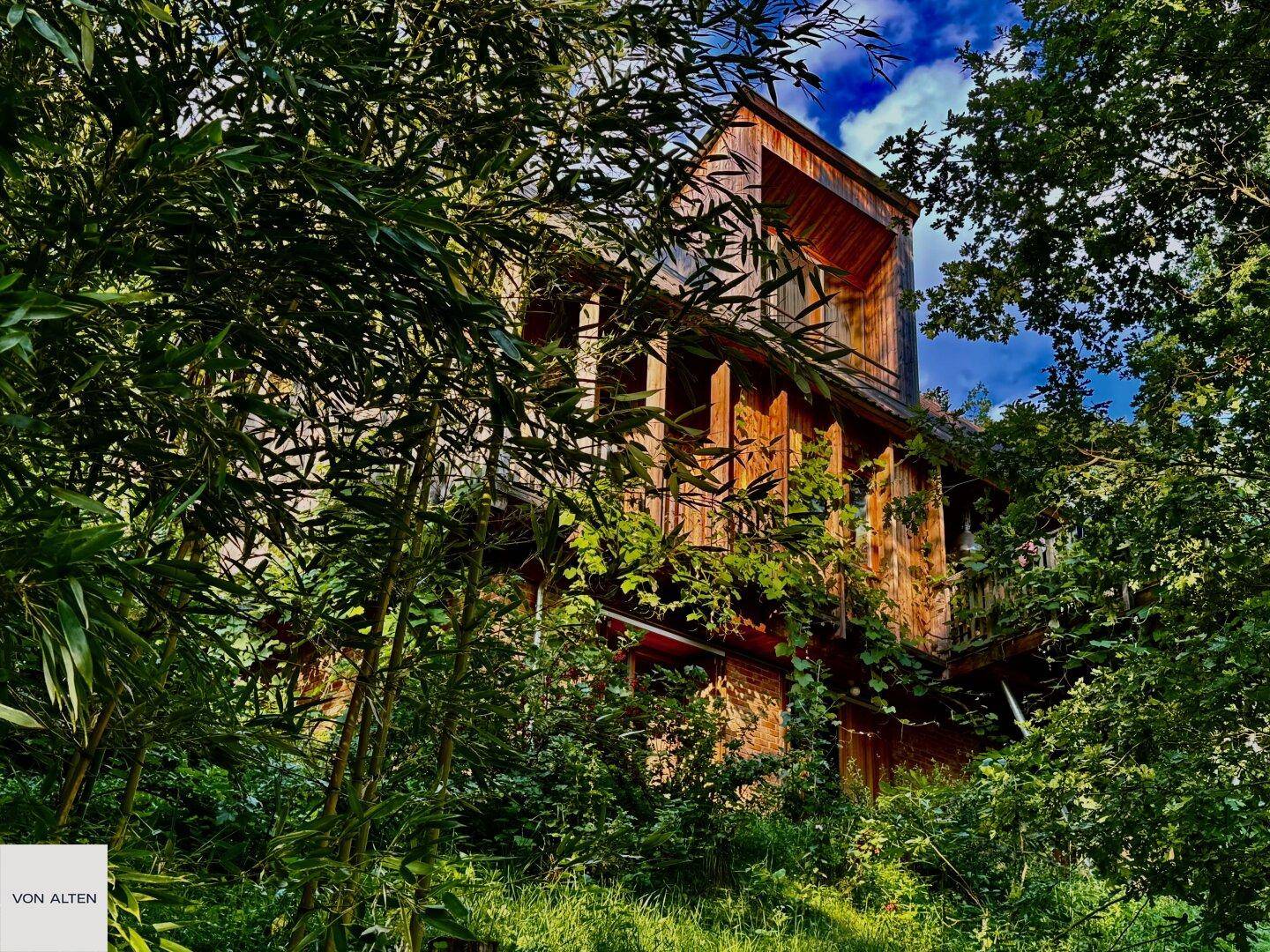 Das moderne Holzhaus versteckt sich malerisch inmitten dichter grüner Vegetation.