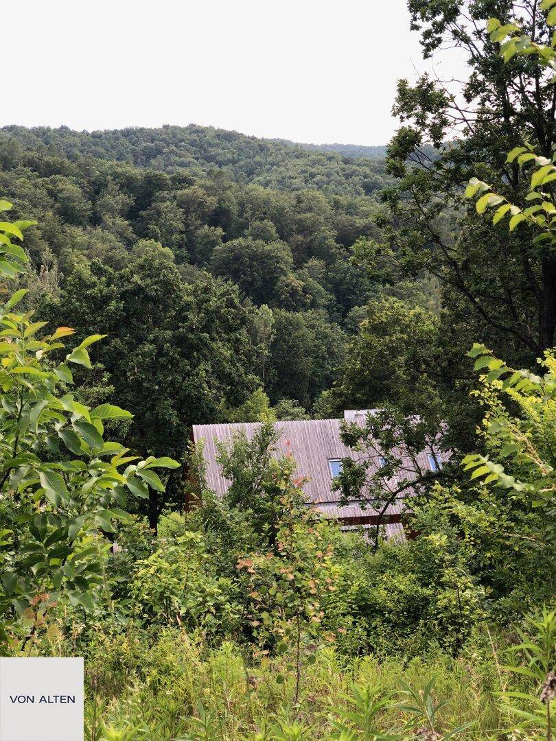 Dach des Holzhauses mit Dachfenstern, umgeben von üppigem Grün und Bäumen.