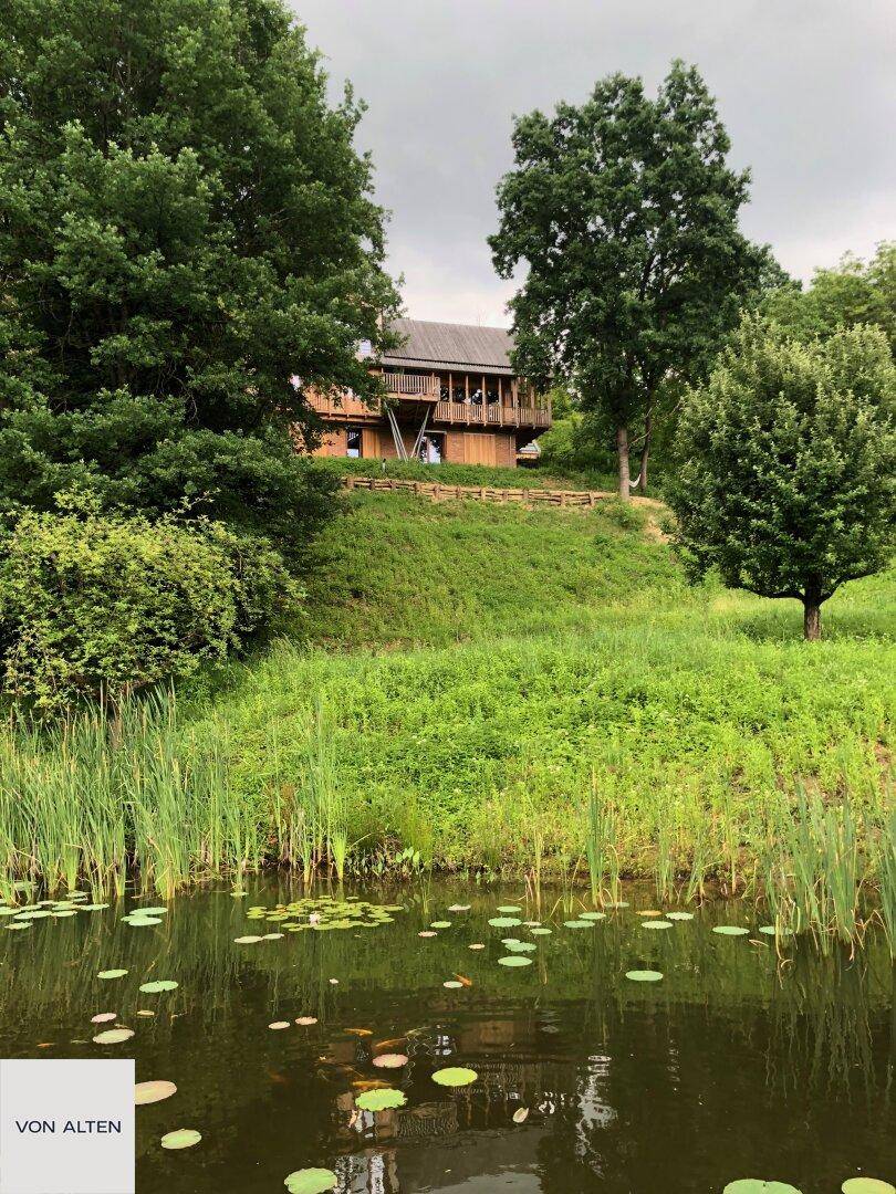 Das Holzhaus auf einem Hügel mit Blick auf einen Teich und grüne Natur.