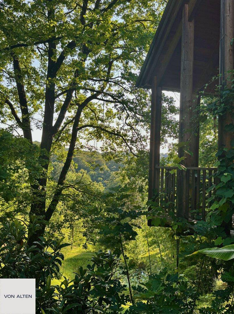 Weitläufiger Blick auf die grüne Waldlandschaft von einem hölzernen Balkon aus.