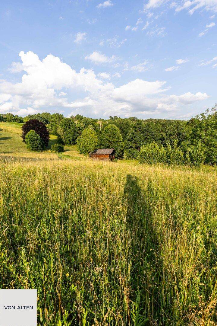 Weitläufige grüne Wiesenlandschaft mit einem kleinen Holzschuppen und bewaldeten Hügeln im Hintergrund.