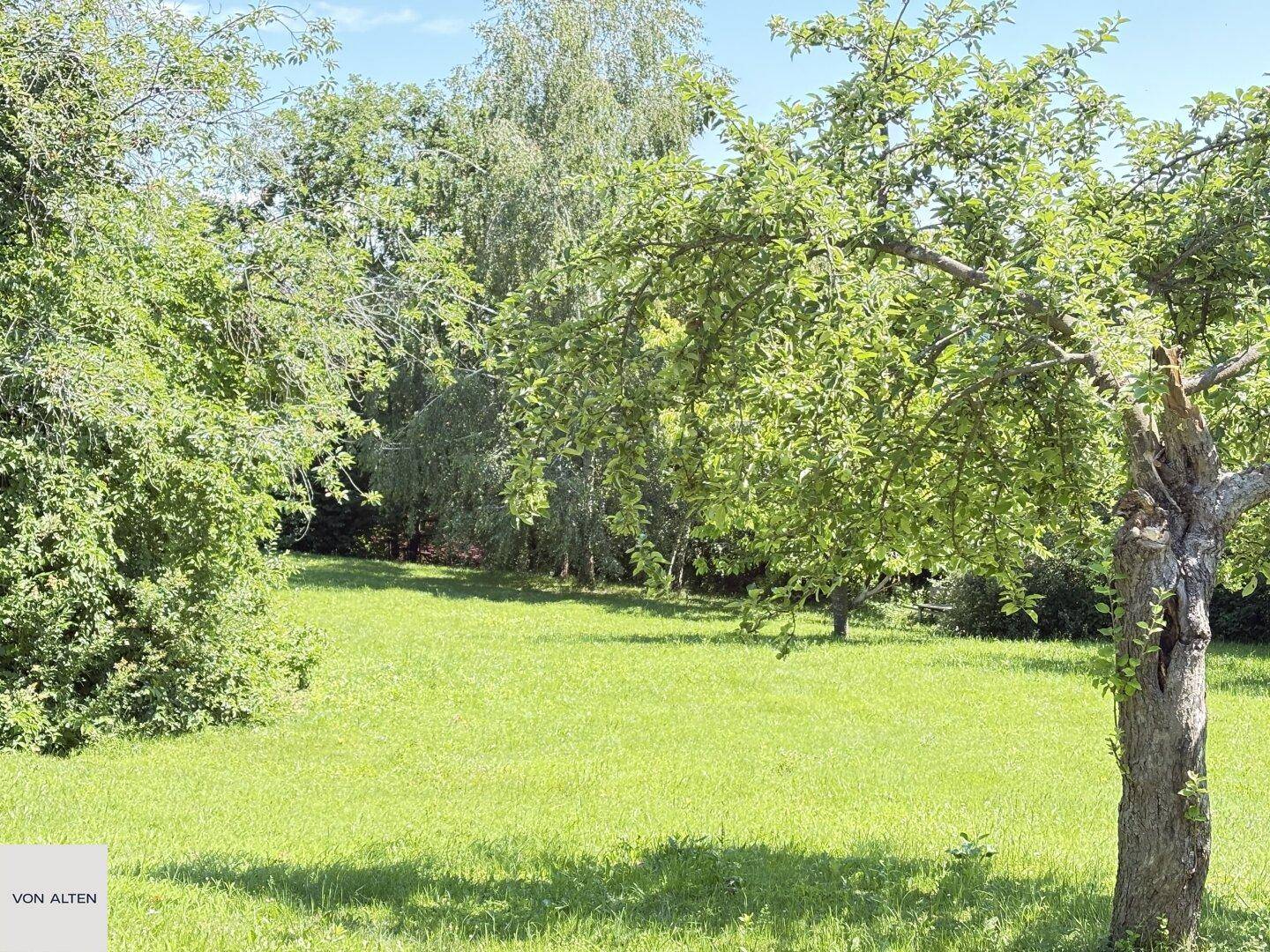 Große grüne Wiese mit Obstbäumen unter blauem Himmel, ideal für Erholung.