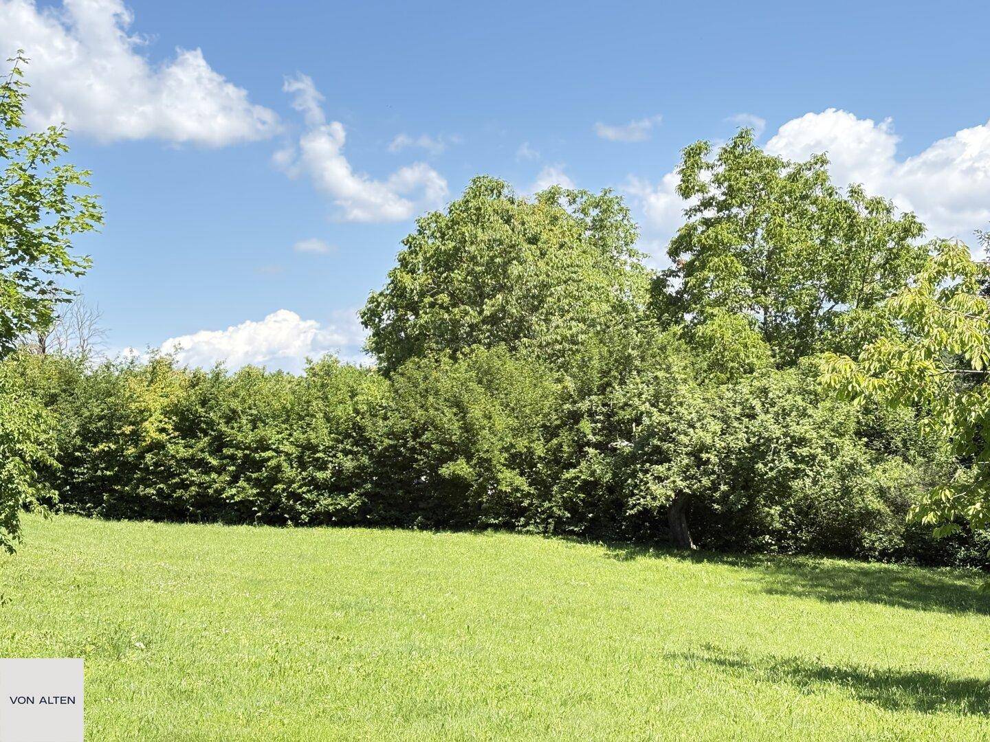 Weitläufige grüne Wiese umgeben von Hecken und Bäumen unter strahlend blauem Himmel.