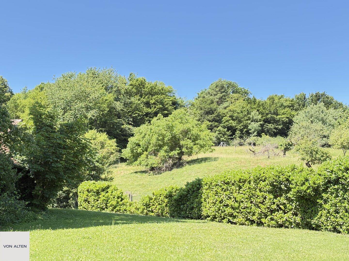 Hügelige grüne Landschaft mit Bäumen und Hecken unter klarem blauem Himmel.