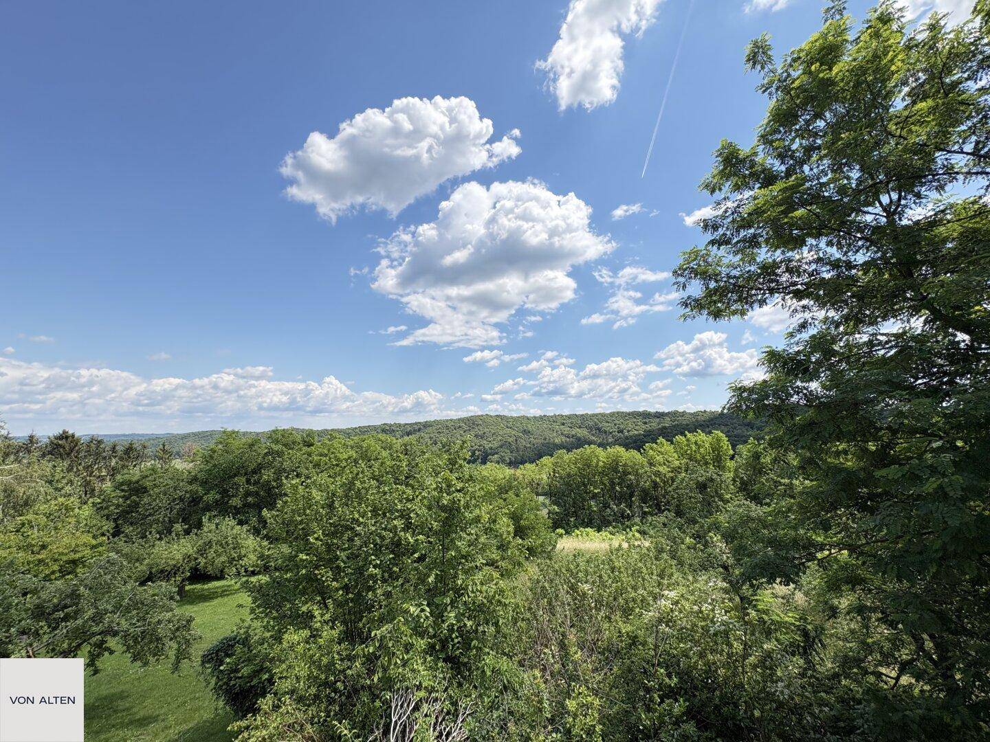 Malerischer Ausblick auf grüne Hügel und Wälder unter einem strahlend blauen Himmel mit Wolken.