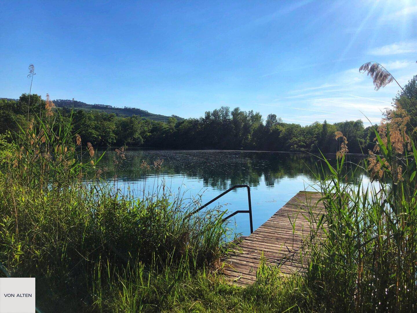 Malerischer See mit Holzsteg und üppiger Ufervegetation unter strahlend blauem Himmel.