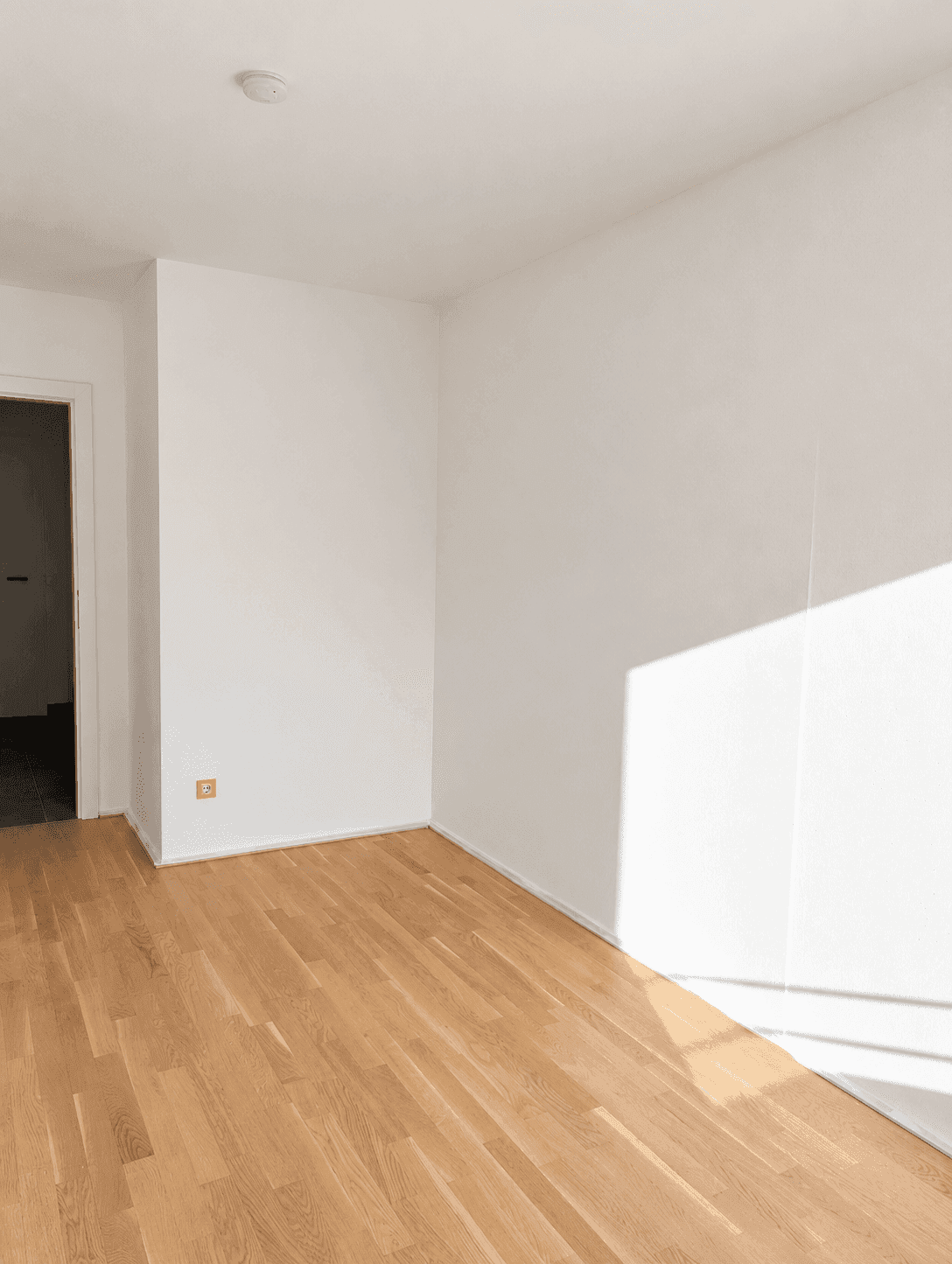 Leeres Zimmer mit Holzboden und viel natürlichem Sonnenlicht.