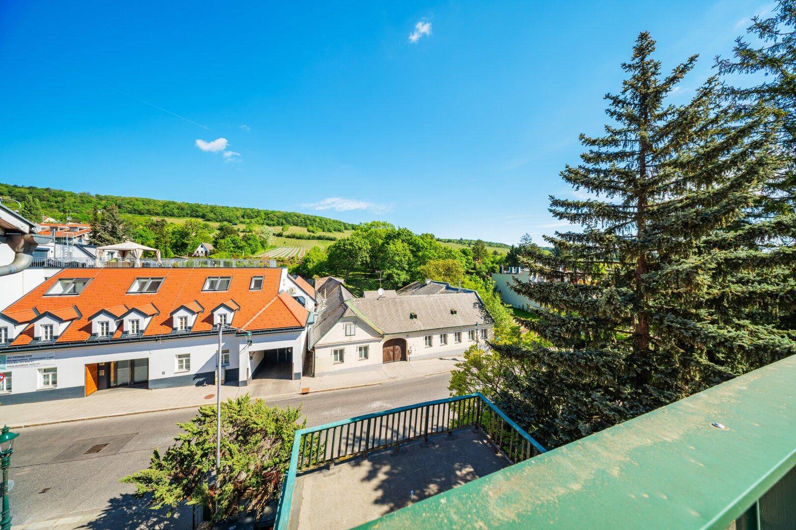 Balkon mit Blick auf die Straße, gegenüberliegende Häuser und die grünen Weinberge.