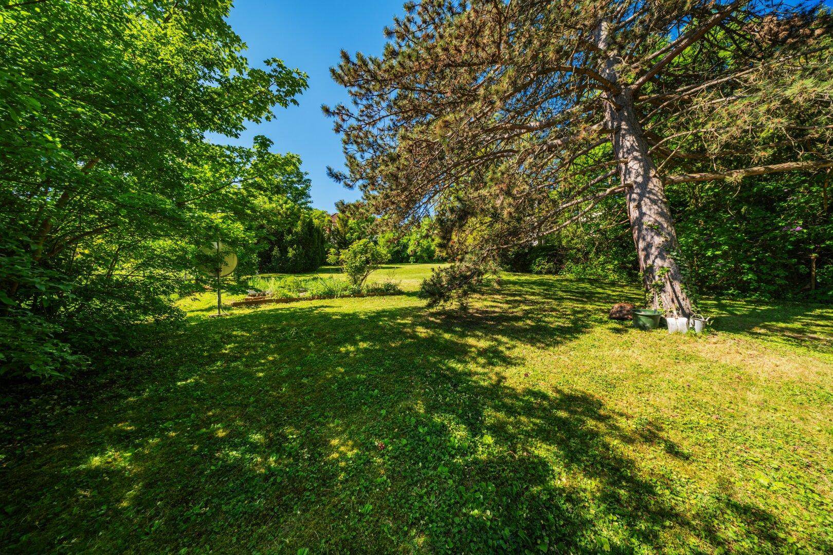 BAUGRUNDSTÜCK mit 1072m² im Herzen von Neustift am Walde in 1190 Wien - Ansicht 3
