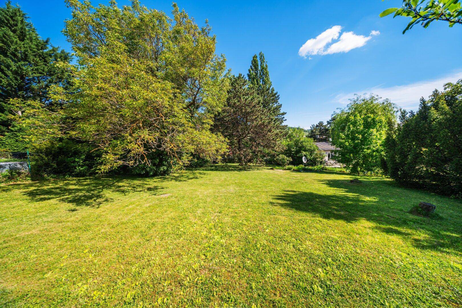 BAUGRUNDSTÜCK mit 1072m² im Herzen von Neustift am Walde in 1190 Wien - Ansicht 5