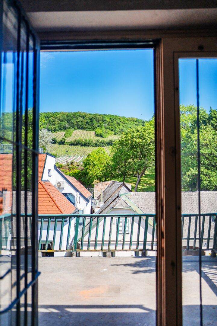 Offene Terrasse mit weitem Blick auf Weinberge und die umliegende Landschaft.