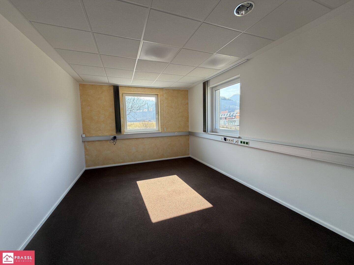 Helles Büro mit Teppichboden, zwei Fenstern und praktischen Kabelkanälen an den Wänden.