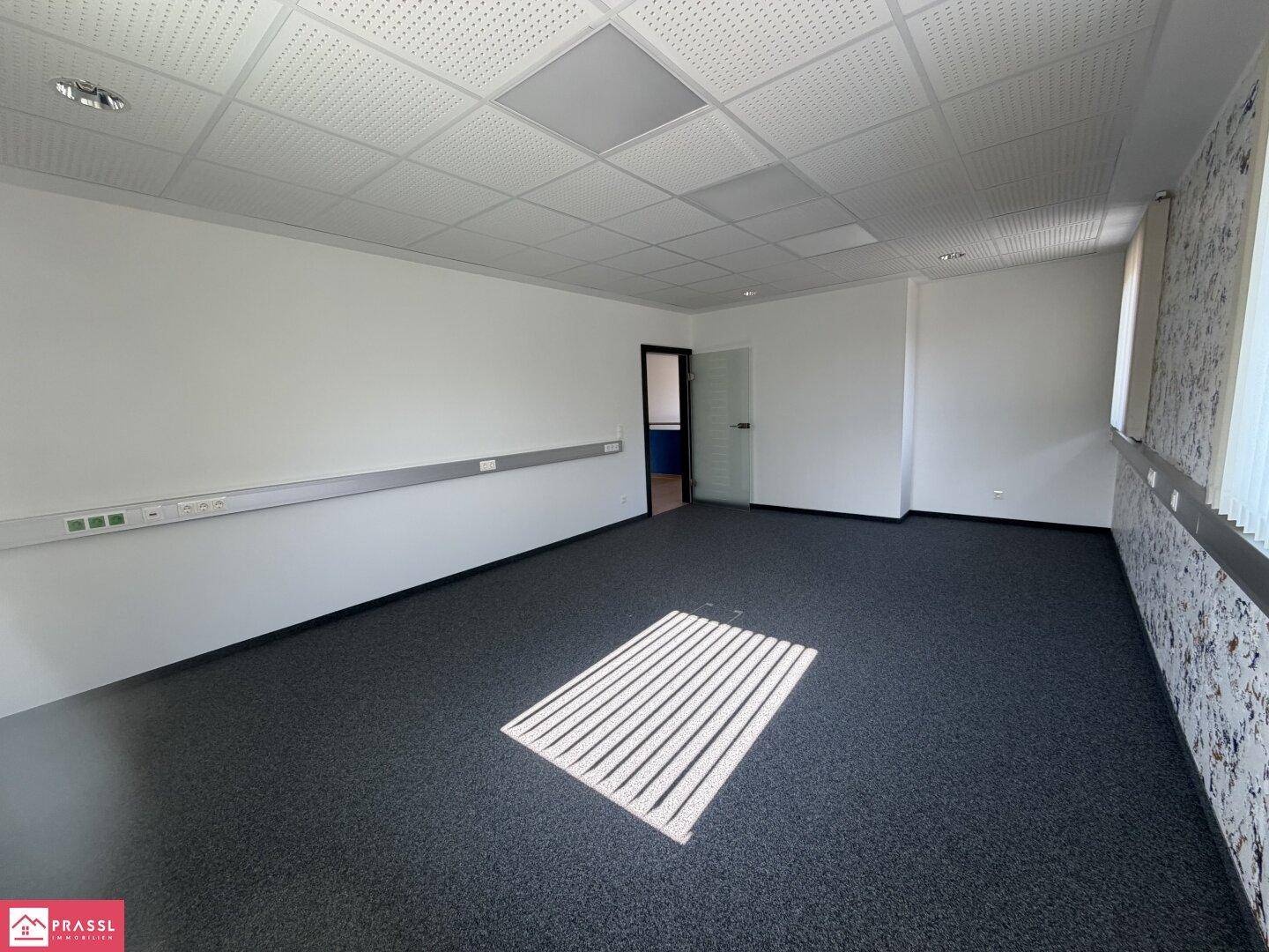 Großes, leeres Büro mit Teppichboden, abgehängter Decke und praktischen Kabelkanälen an den Wänden.