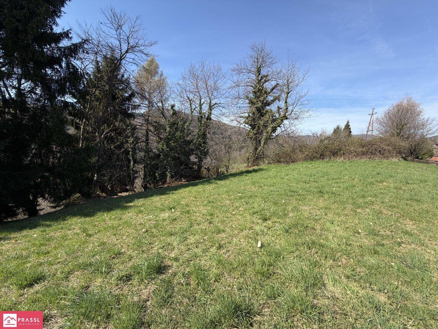 Weitläufige Grünfläche mit sanfter Hanglage und Blick auf die umliegende Natur.