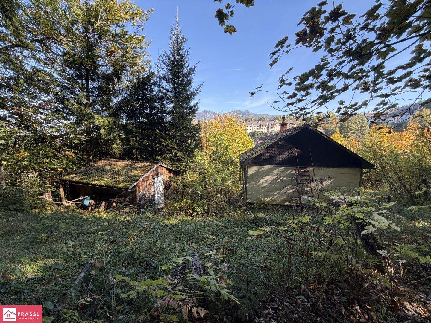 Ansicht süd - waldseitig Schuppen und Haus