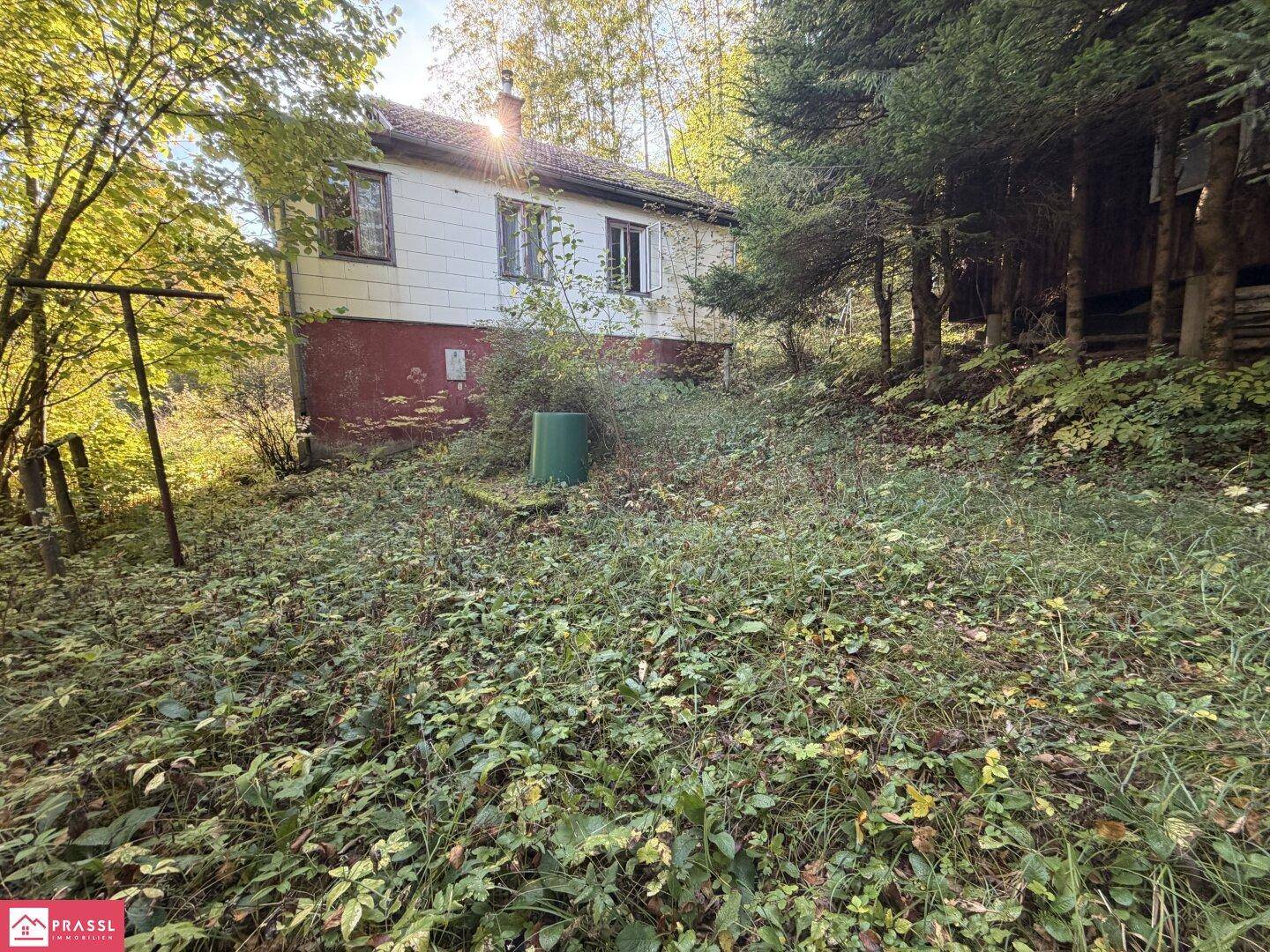 Ansicht nord - waldseitig