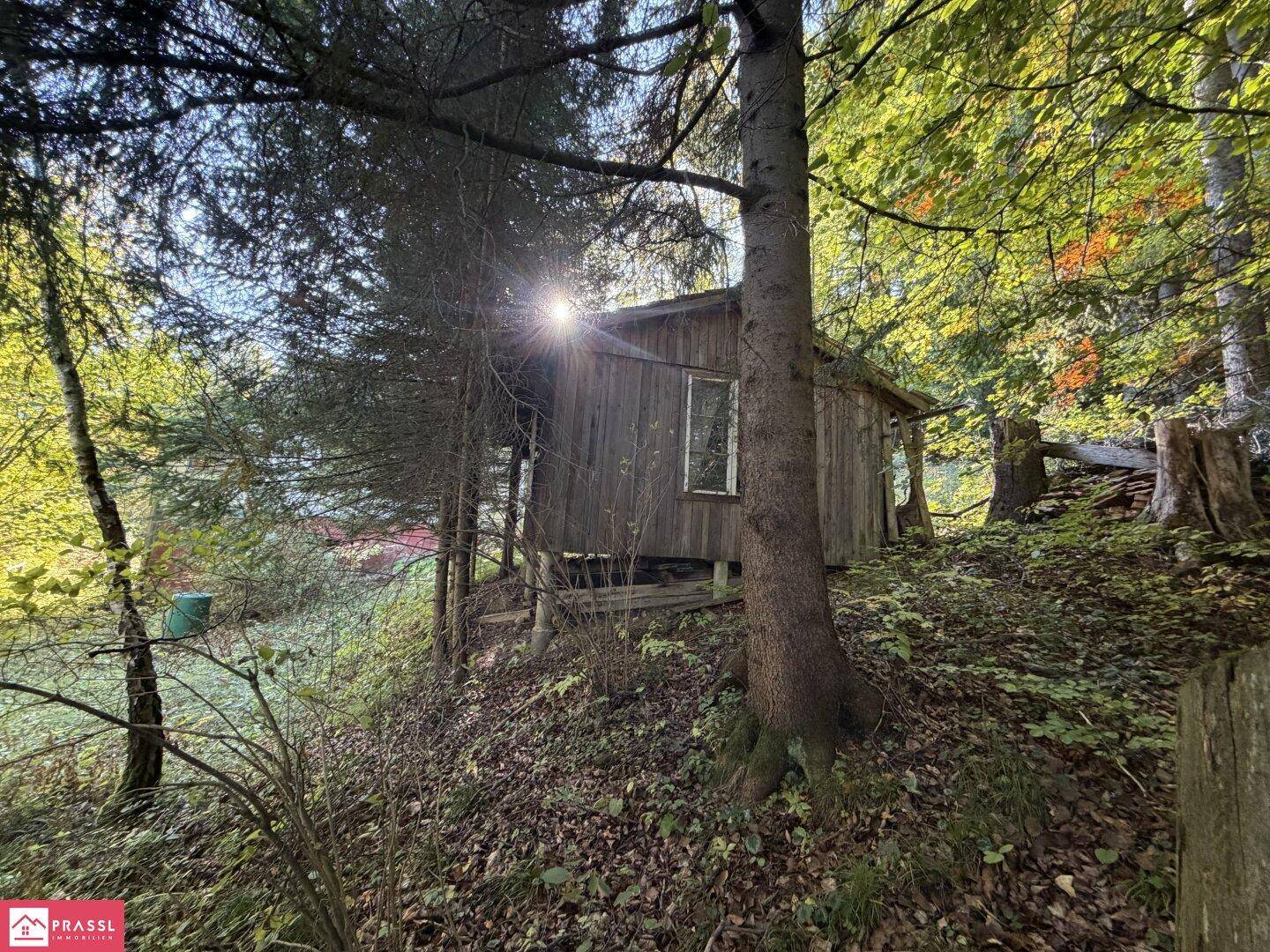 Holzhütte