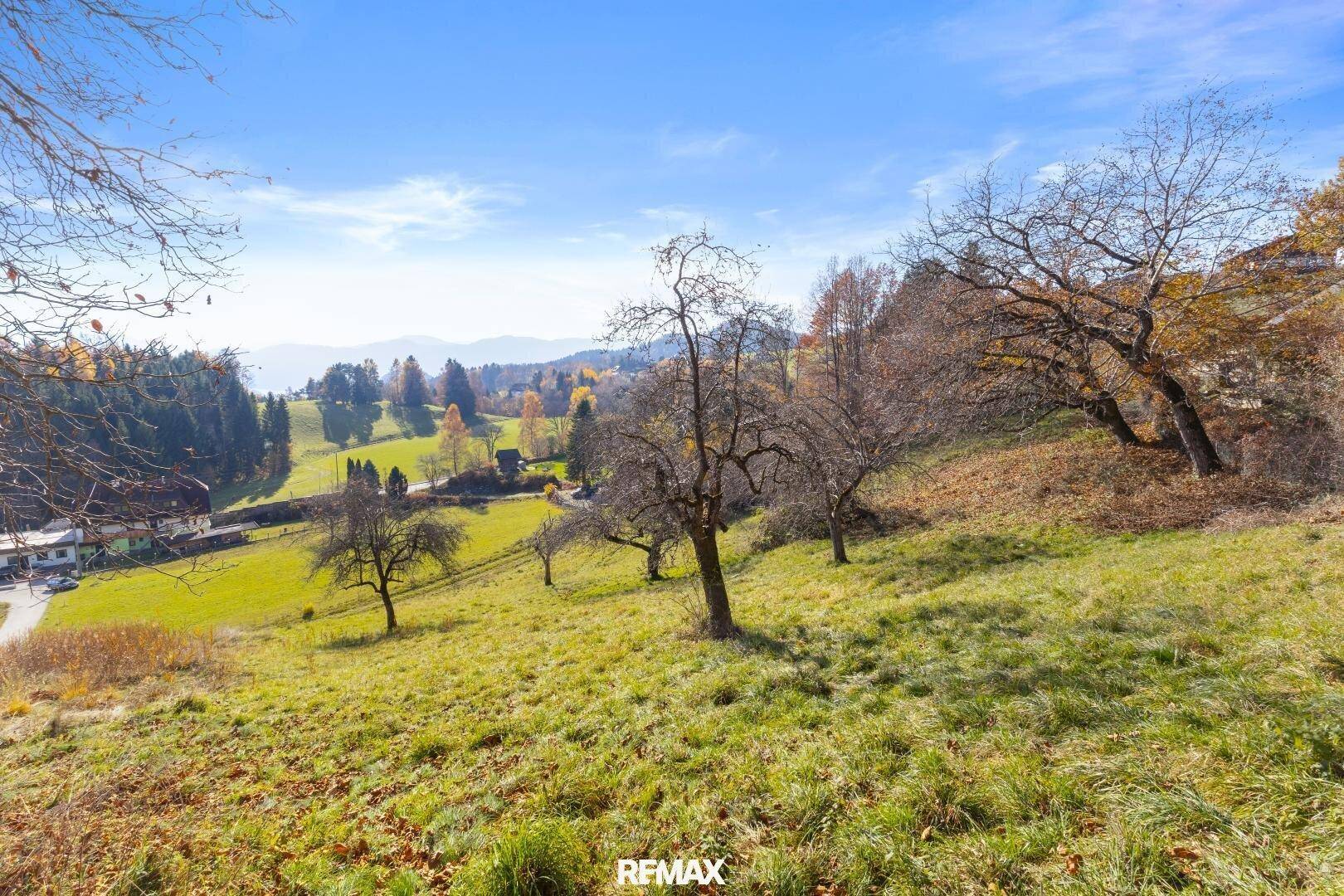 Weitläufiger Blick über ein grünes, hügeliges Grundstück mit Obstbäumen und ferner Berglandschaft.