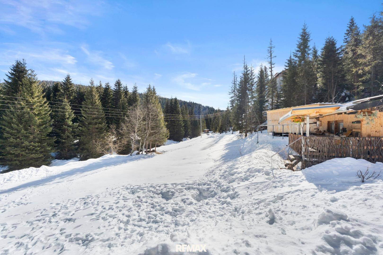 Weitläufige Winterlandschaft mit verschneiten Bäumen und Blick auf die Umgebung.