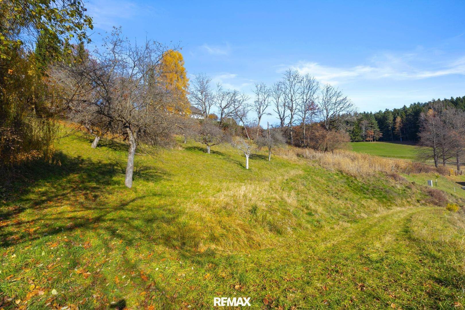 Grünes, leicht abfallendes Grundstück mit vereinzelten Bäumen und herbstlichem Laub im Vordergrund.