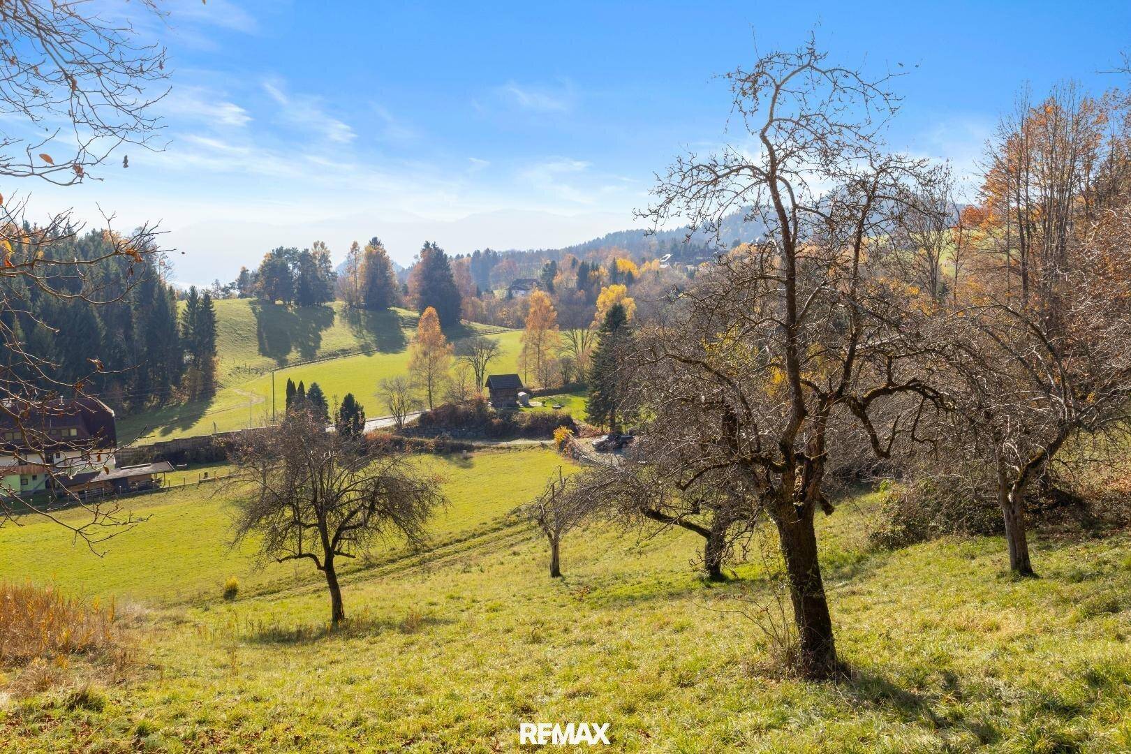 Idyllische Landschaft mit sanften Hügeln, Obstbäumen und einem weiten Blick in die Ferne.