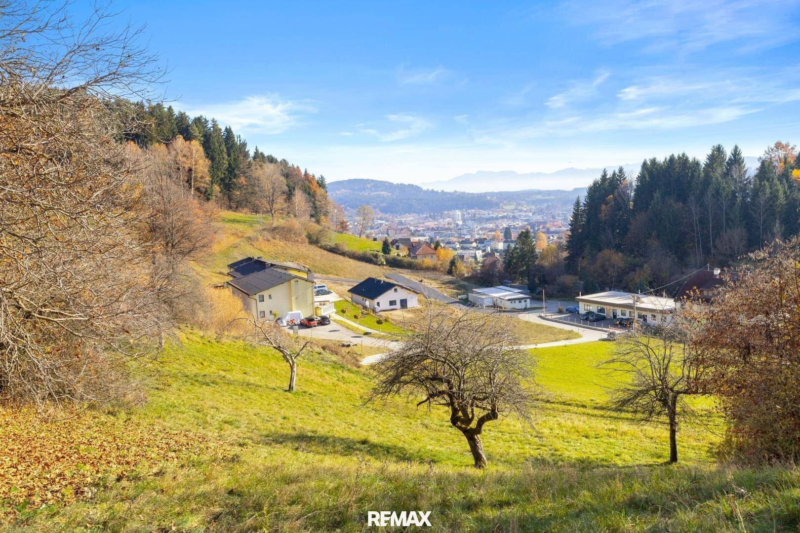 Sonniges Grundstück mit Obstbäumen und Blick auf eine kleine Siedlung und die umliegende Natur.