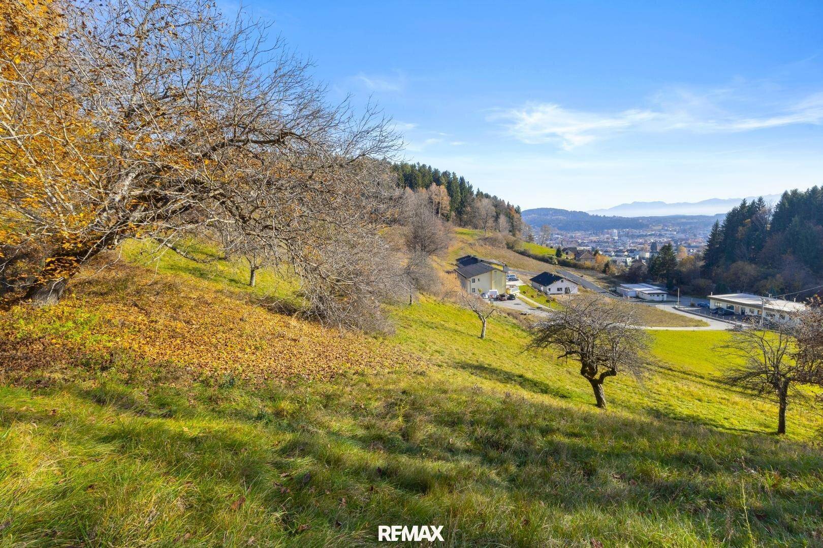 Sonniger Hang mit Obstbäumen und Blick auf die umliegende Landschaft und eine kleine Siedlung.
