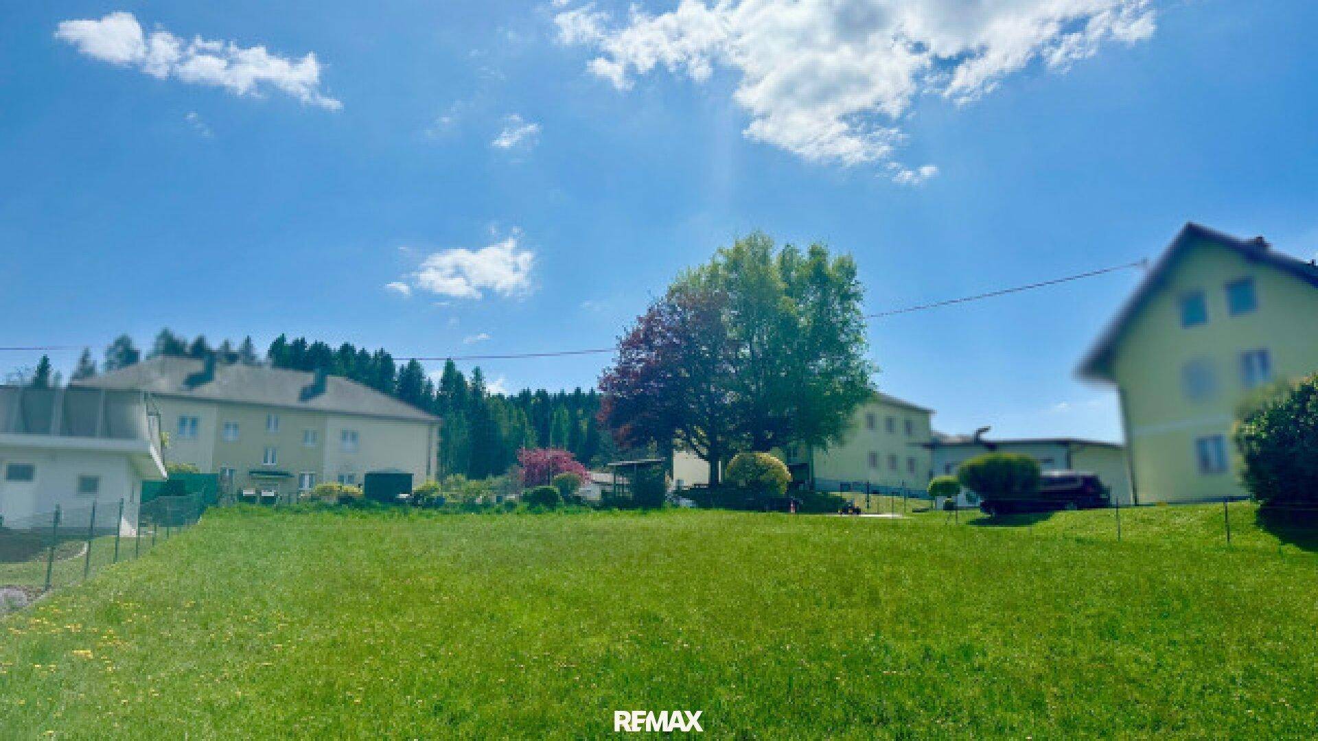 Sonniges, weitläufiges Wiesengrundstück mit Blick auf Nachbarhäuser und einen großen Baum.