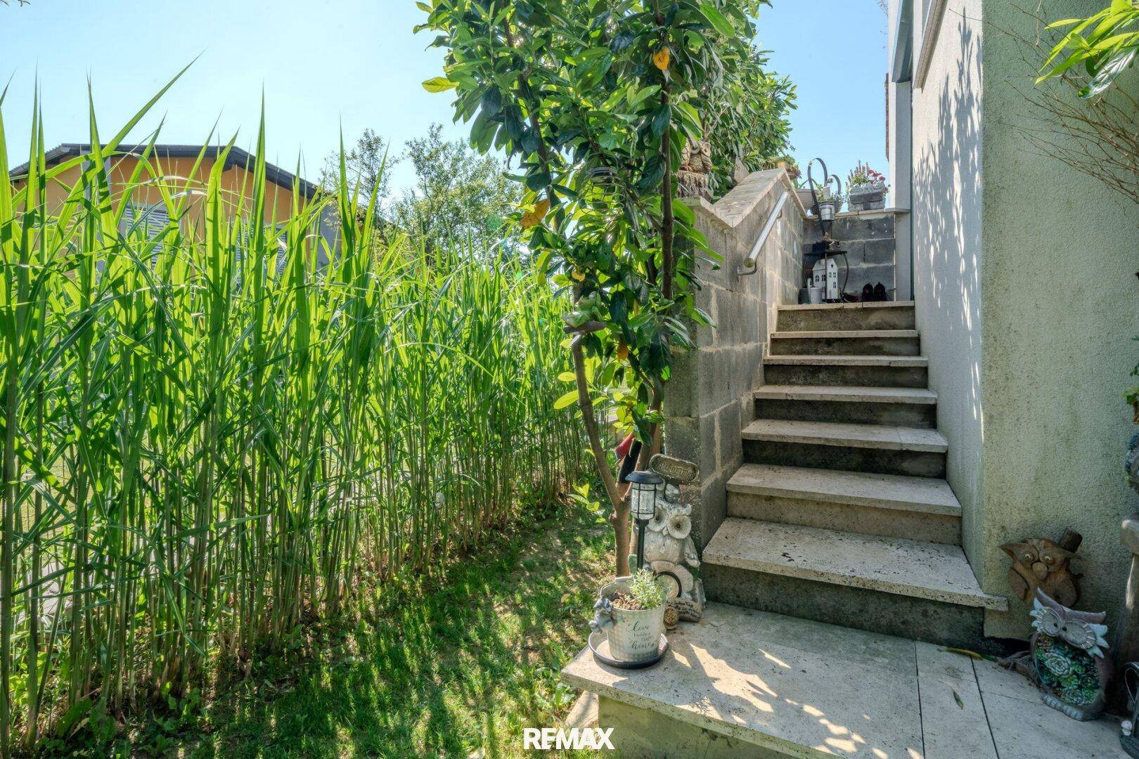 Steintreppe im Garten, umgeben von hohen Gräsern und Pflanzen.