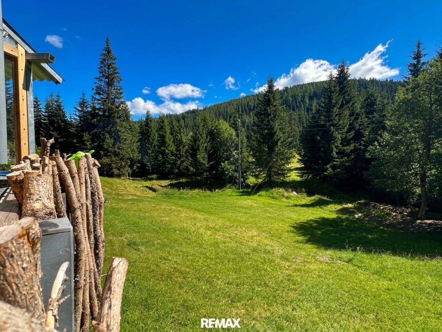 Panoramablick von einer Holzterrasse über eine weite grüne Wiese und dichten Wald.