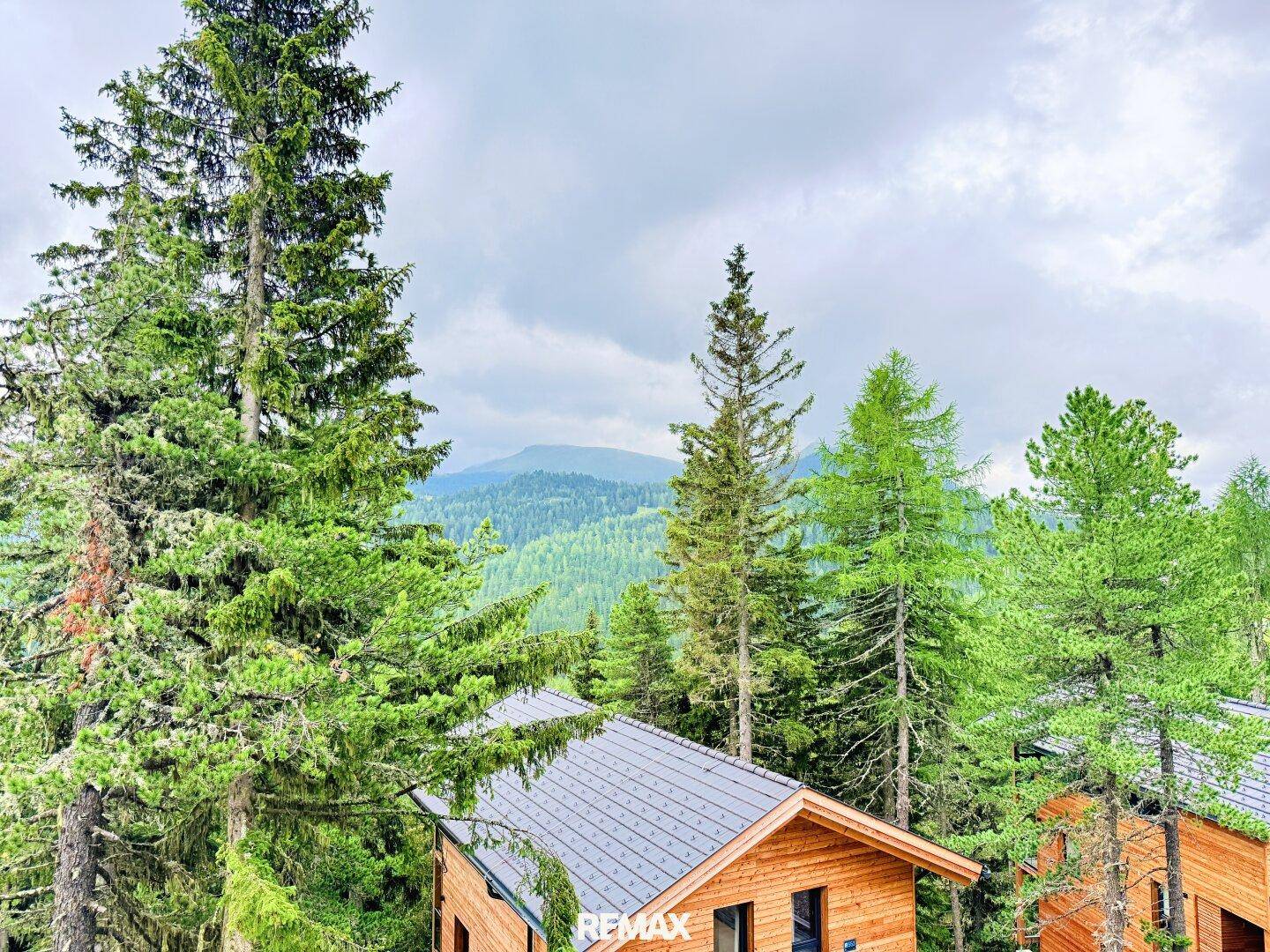 Malerische Berglandschaft mit Nadelwäldern und weiteren Chalets in der Ferne.
