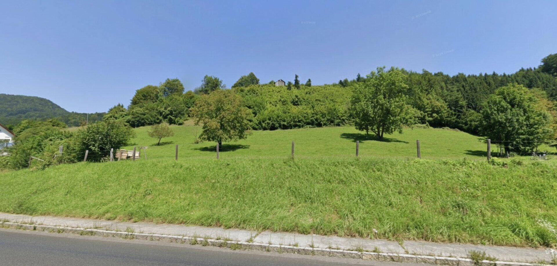 Grüne Wiese am Hang mit Bäumen und einem Zaun, gesehen von der gegenüberliegenden Straßenseite.