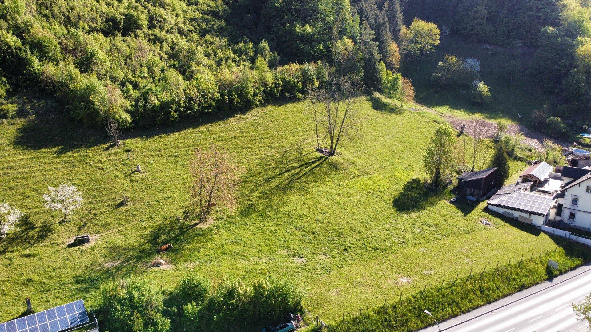 Weitläufige grüne Landschaft mit bewaldeten Hügeln, Wiesen und einer Straße am unteren Bildrand.