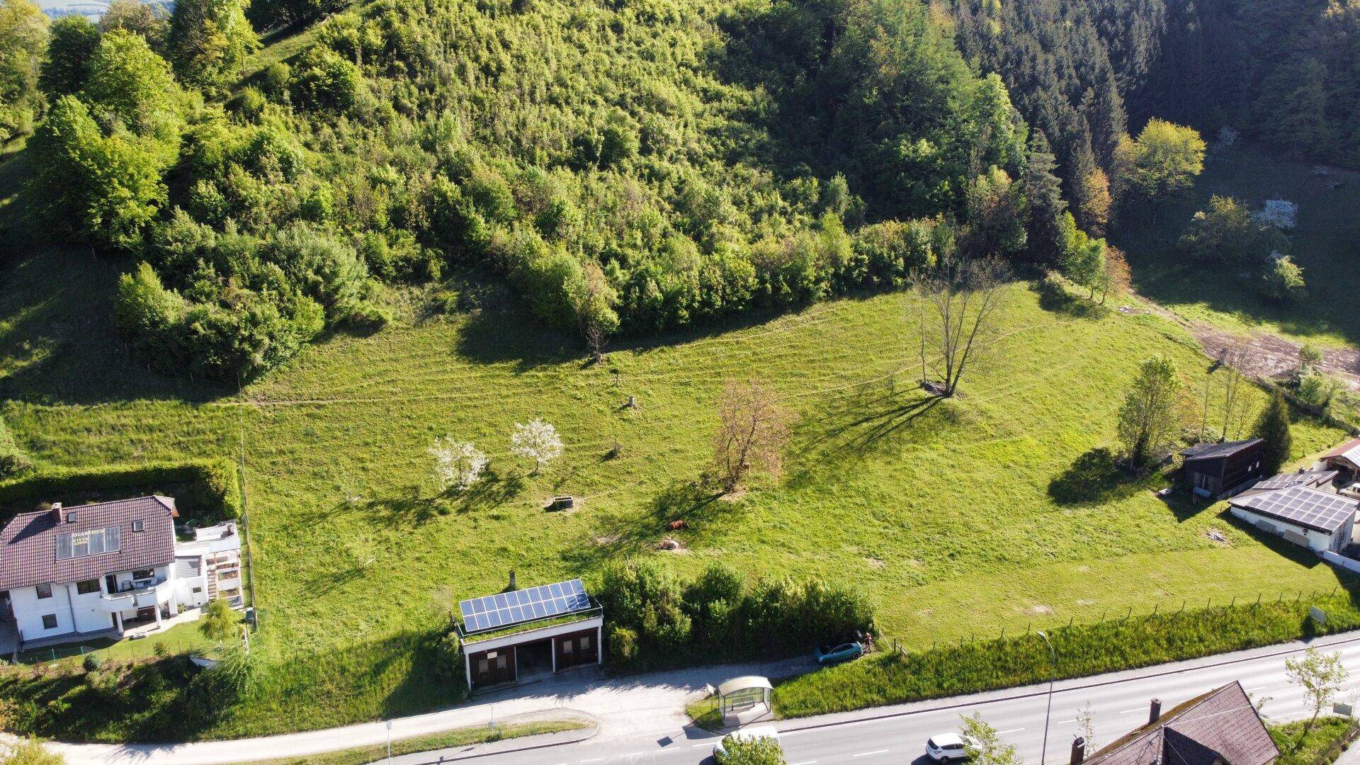 Panoramablick auf eine grüne Hügellandschaft mit vereinzelten Häusern und einer Straße.