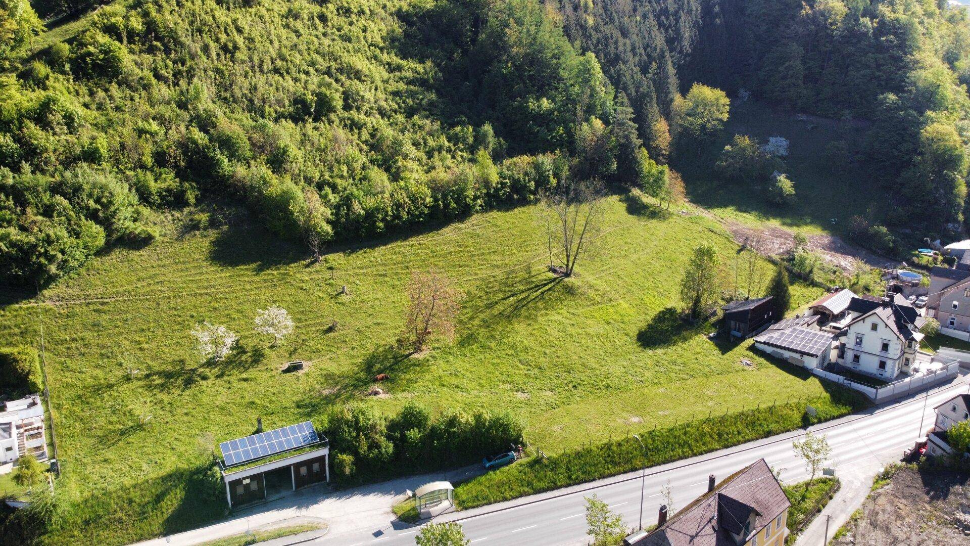 Luftaufnahme einer ländlichen Gegend mit bewaldeten Hängen, Wiesen und einer Straße.
