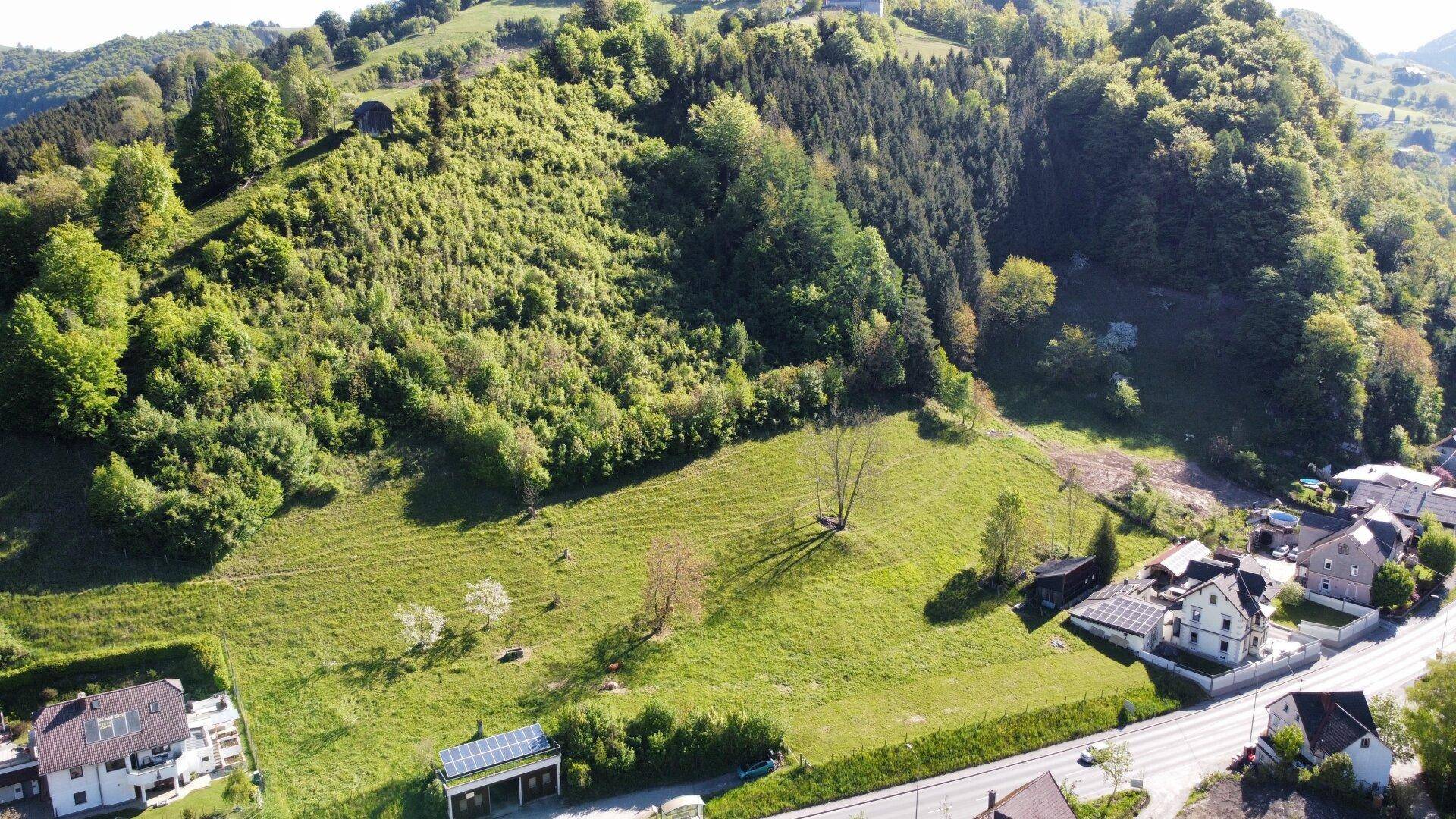 Weitläufige Luftaufnahme eines grünen Tals mit bewaldeten Bergen und einer kleinen Siedlung.