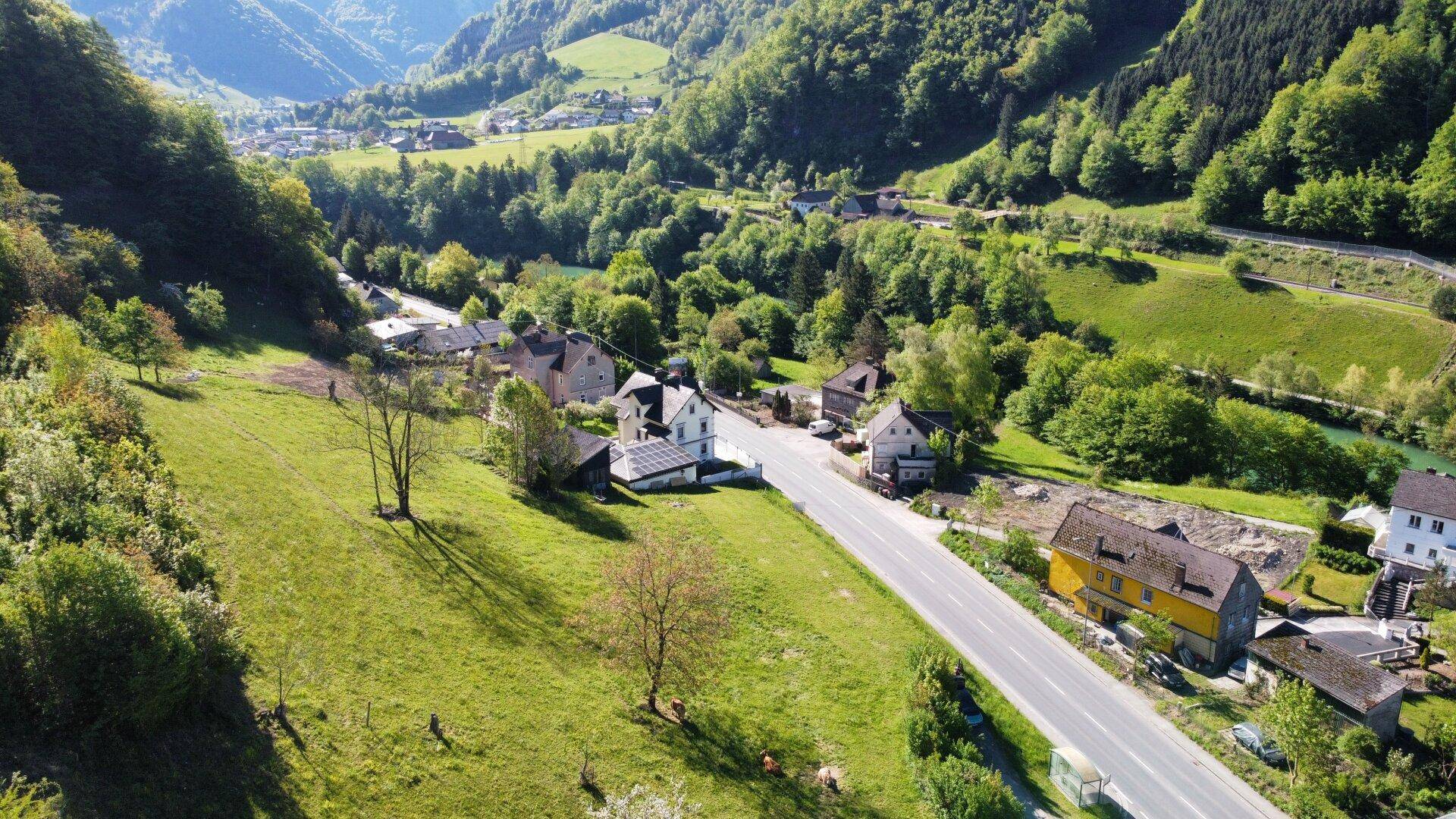 Panoramablick über ein grünes Tal mit einer Straße, Häusern und bewaldeten Berghängen.