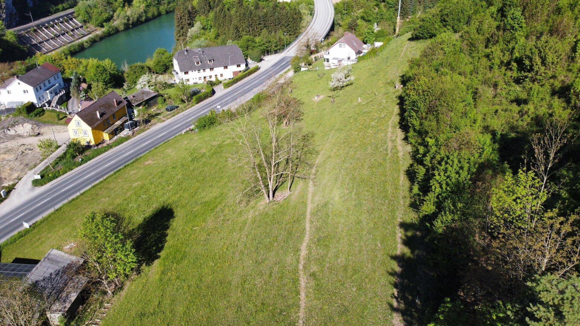 Luftaufnahme eines grünen Hangs mit Blick auf einen Fluss, Häuser und eine Straße.