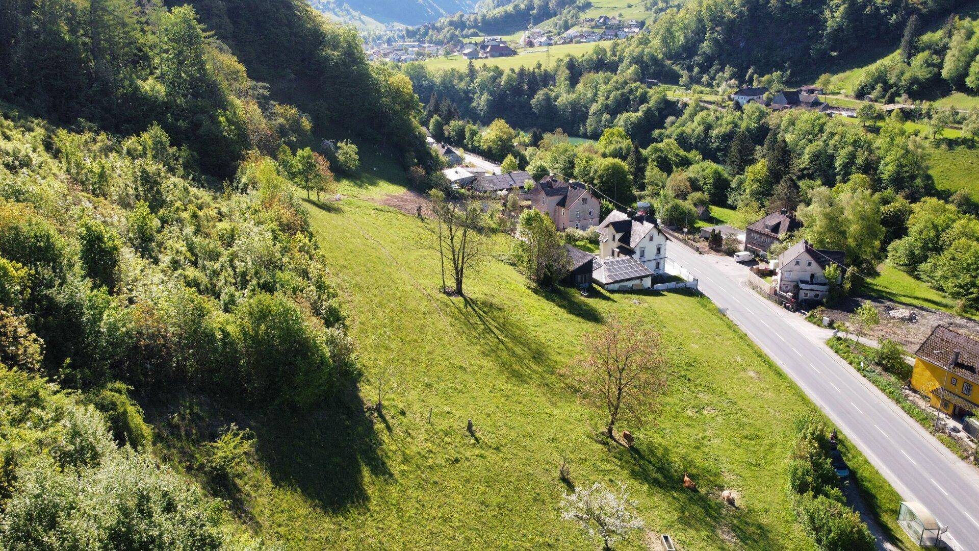Luftaufnahme eines grünen Tals mit einer Straße, Häusern und bewaldeten Berghängen.