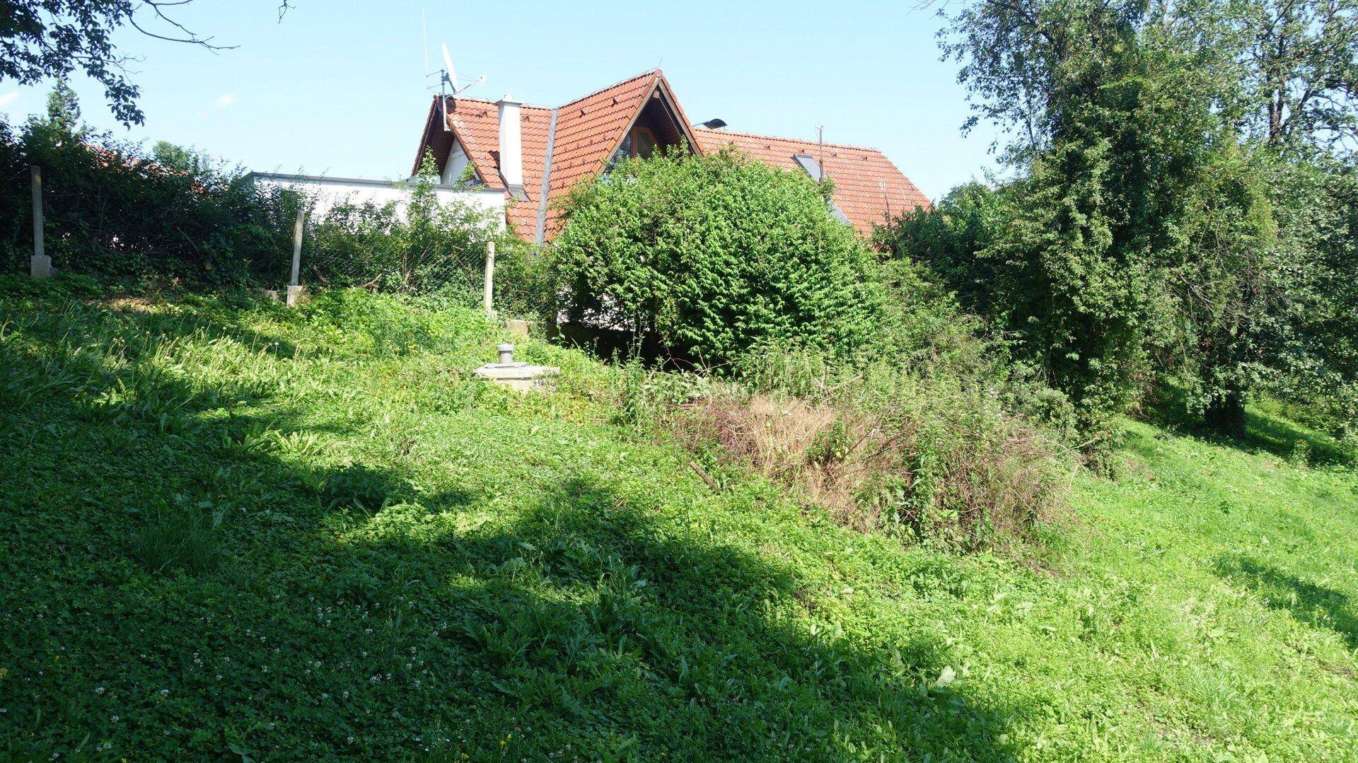 Grüne Wiese mit leichtem Hang und einem Hausdach im Hintergrund unter blauem Himmel.