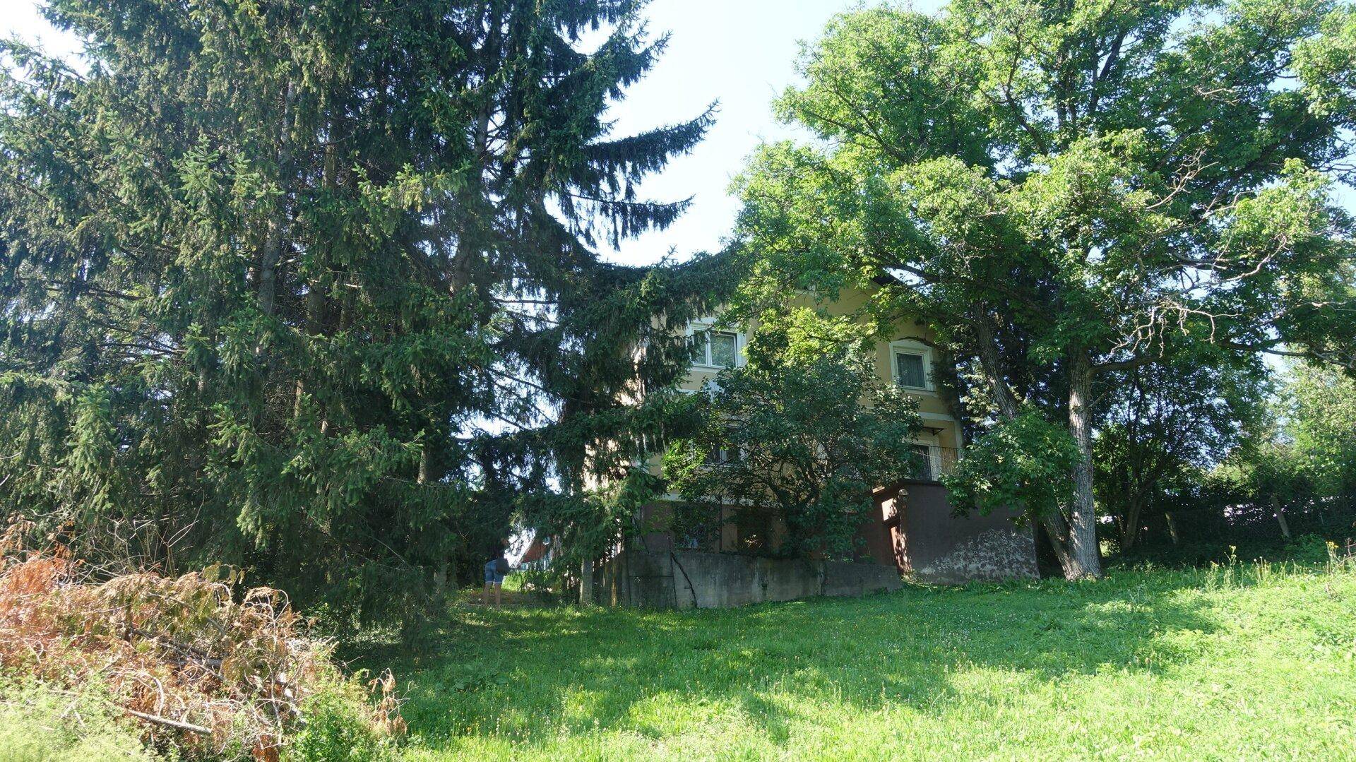 Hausfassade teilweise von großen Bäumen verdeckt, umgeben von einer grünen Wiese.
