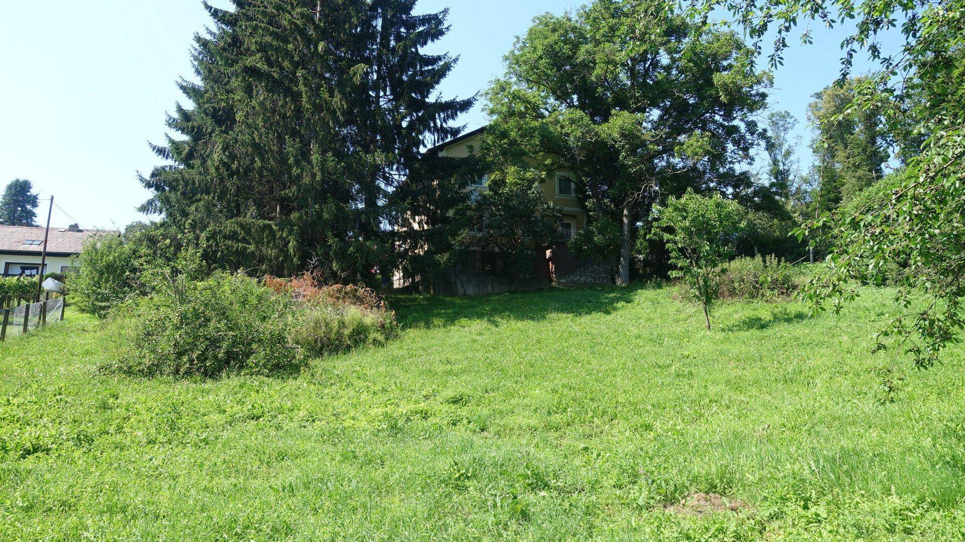 Wohnhaus umgeben von üppigem Grün und hohen Bäumen auf einem leicht abfallenden Grundstück.