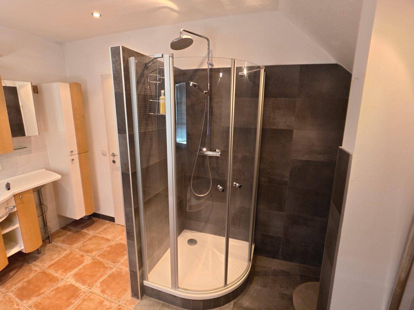 Badezimmer mit moderner Duschkabine, Regendusche und dunklen Fliesen.