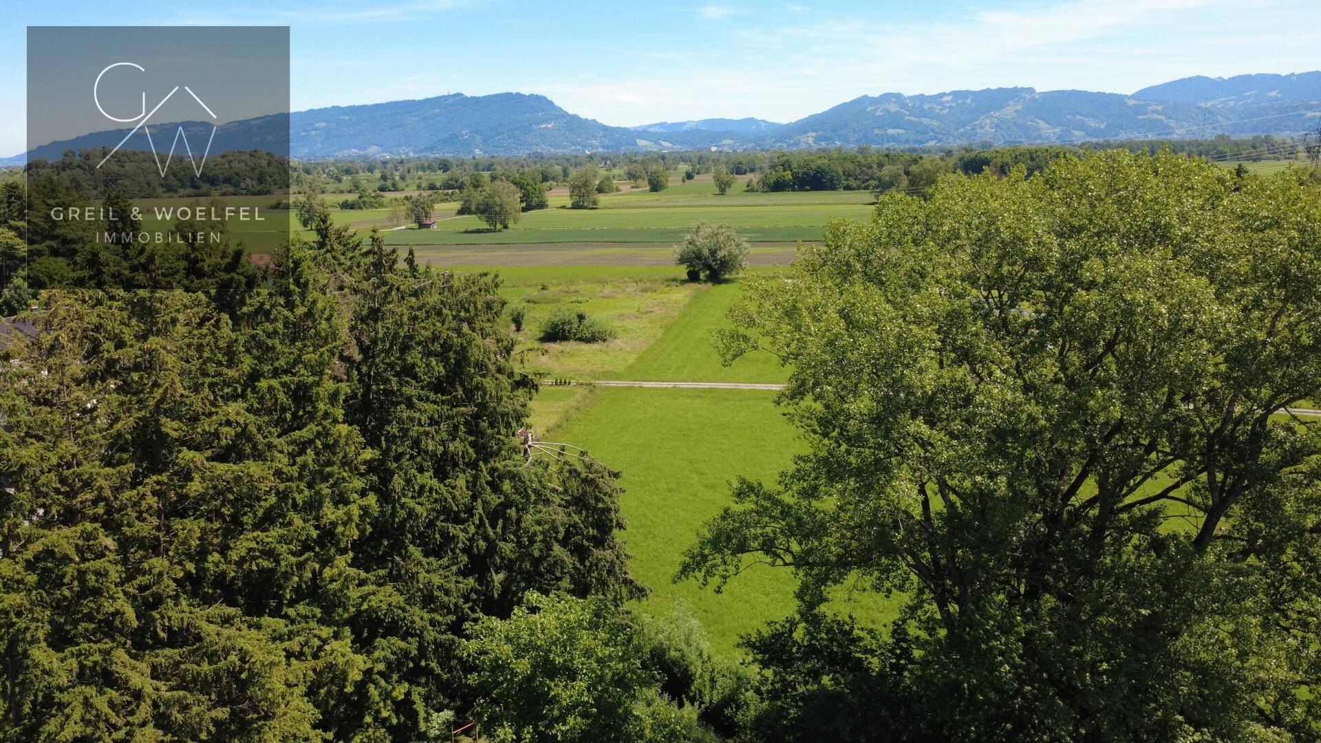 Ausblick Ried
